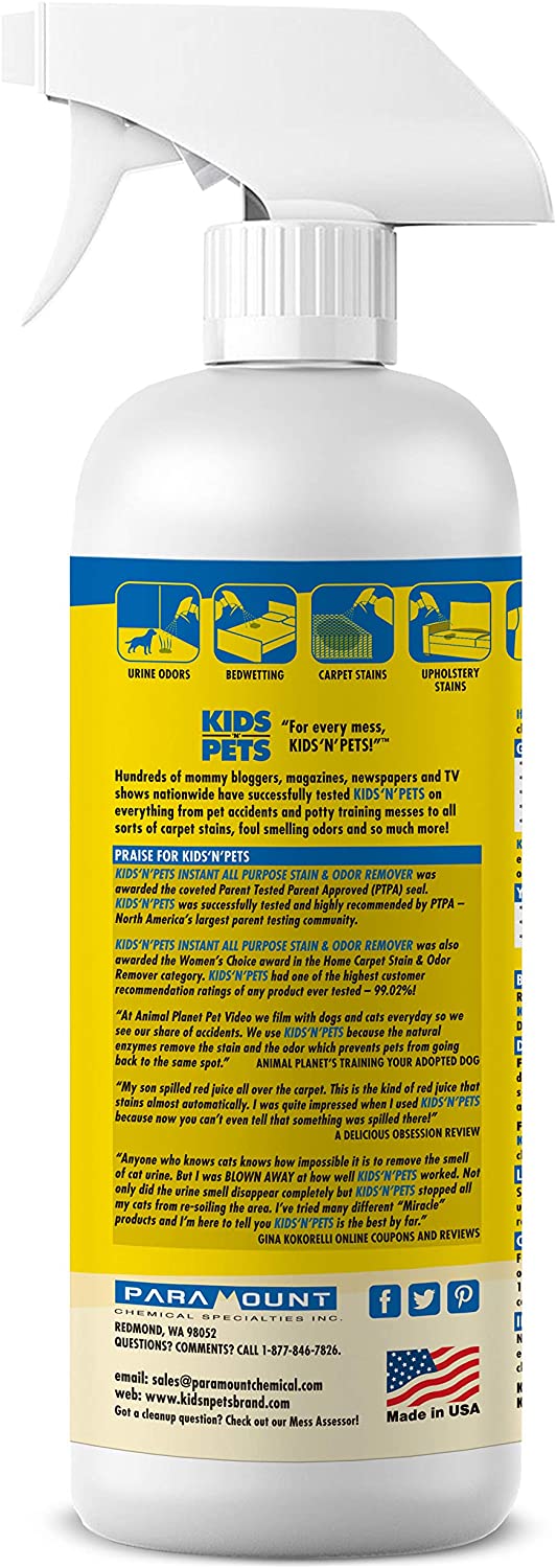 KIDS 'N' PETS Instant All-Purpose Stain and Odor Remover 27.05 Ounce